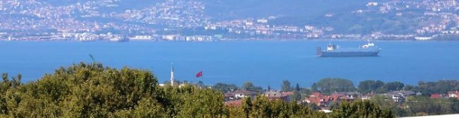 Kavi villaları